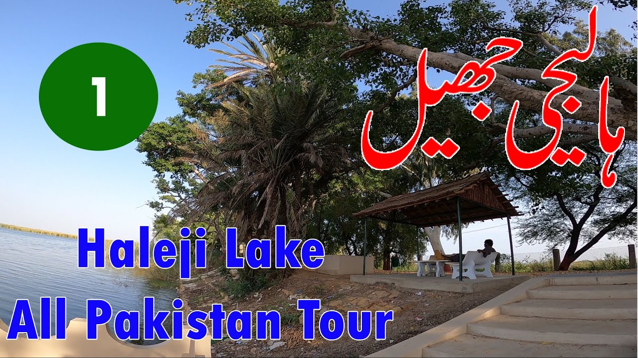 Haleji Lake | Dangerous Crocodile Lake of Pakistan | Migrating Birds From Siberia