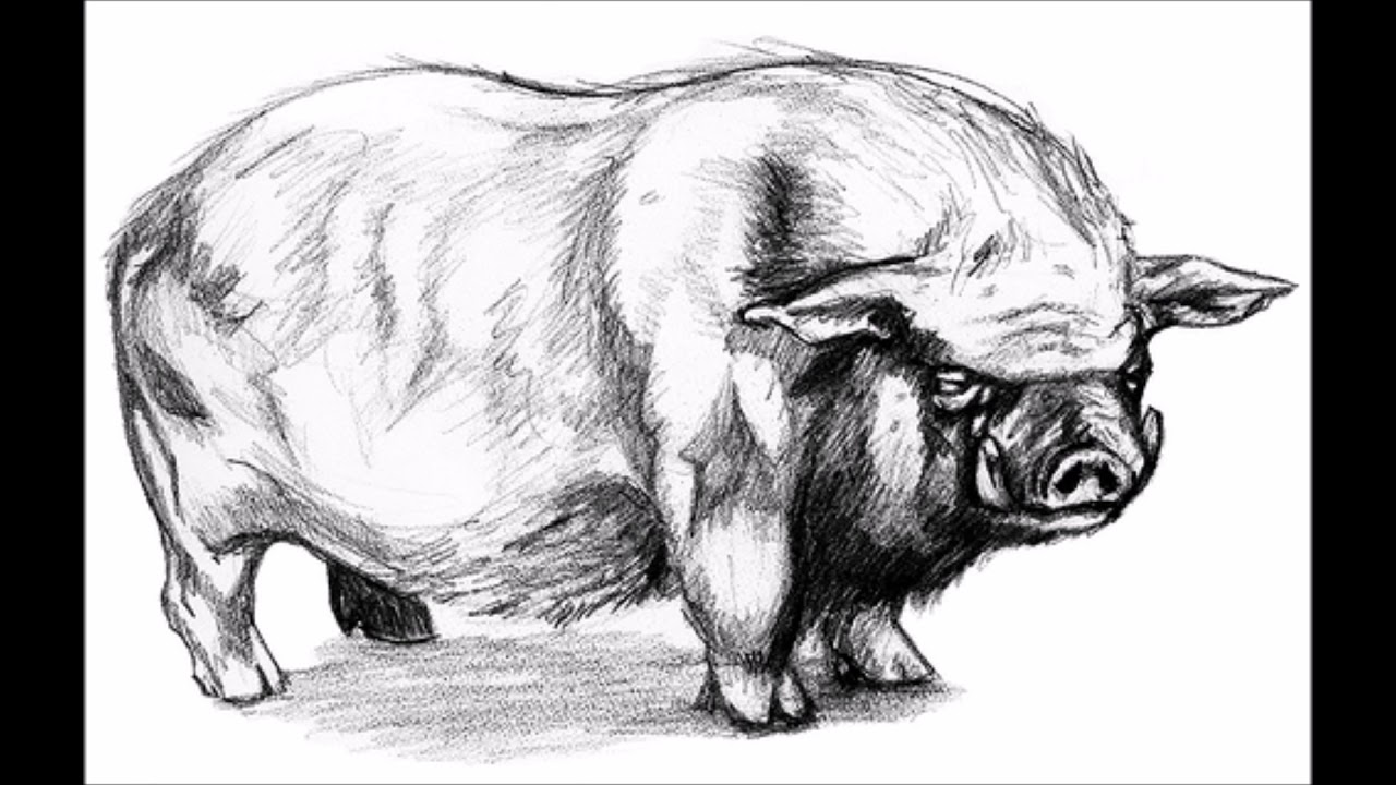 TripleHate Reads: Old Major's Speech (Animal Farm, George Orwell)