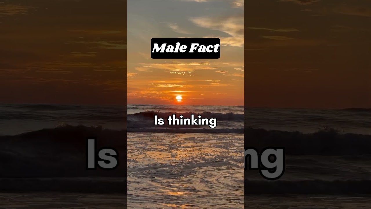 A Silent Man Speaks Volumes 🧠💔 #malefacts