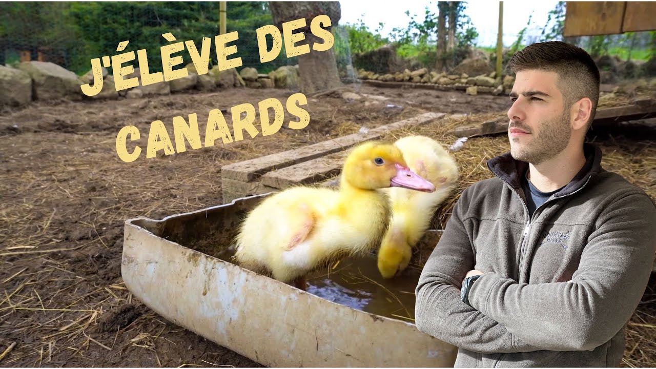 Ma vie de paysan - Episode 3