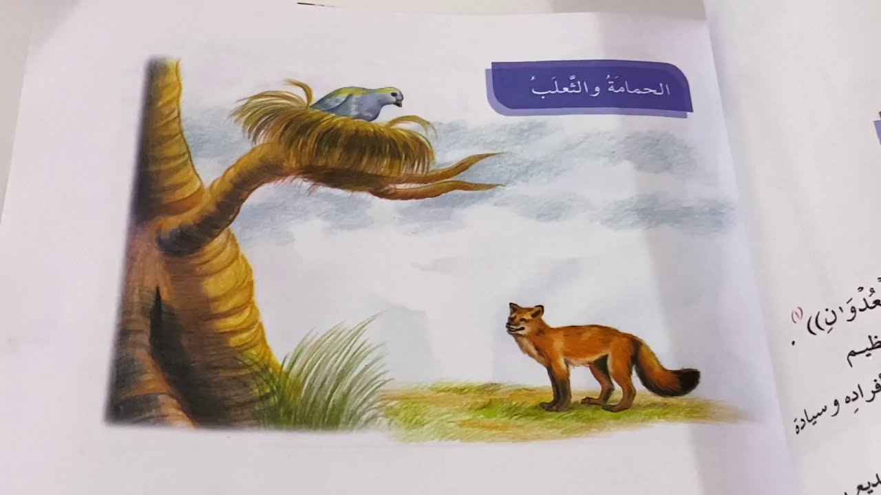 الحمامة والثعلب قراءة الصف الرابع الابتدائي ص ٦١ مع حل الحوار ص ٦٣ .ست مريم