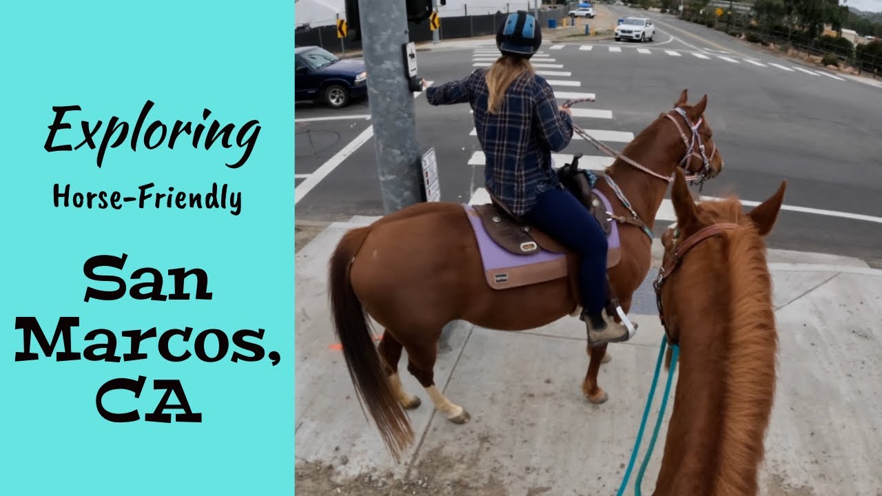 San Marcos - A True Equestrian Haven in California