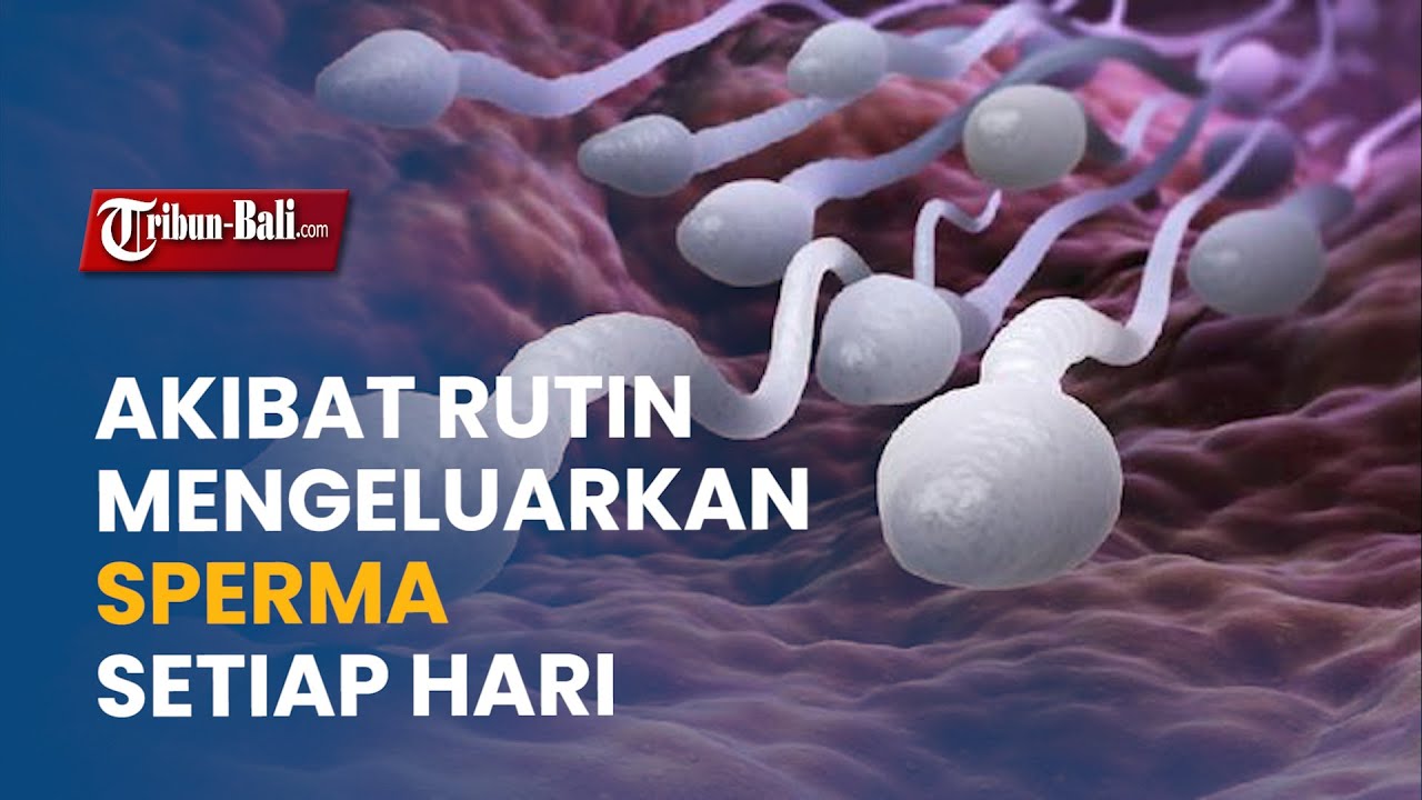 RUTIN MENGELUARKAN SPERMA SETIAP HARI