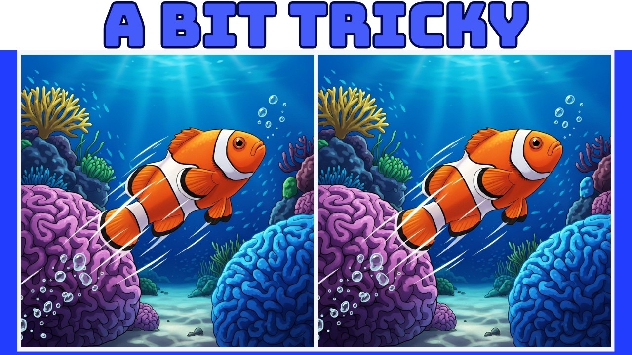 🧐 Spot the Difference: Ocellaris Clownfish Life Part 2 (Find 3 Differences!) 🐠🪸