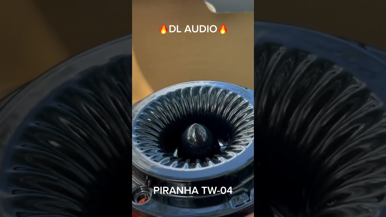 DL AUDIO PIRANHA TW-04