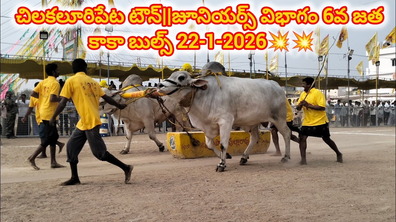 చిలకలూరిపేట టౌన్||జూనియర్స్ విభాగం 6వ జత కాకా బుల్స్ 22-1-2026💥💥