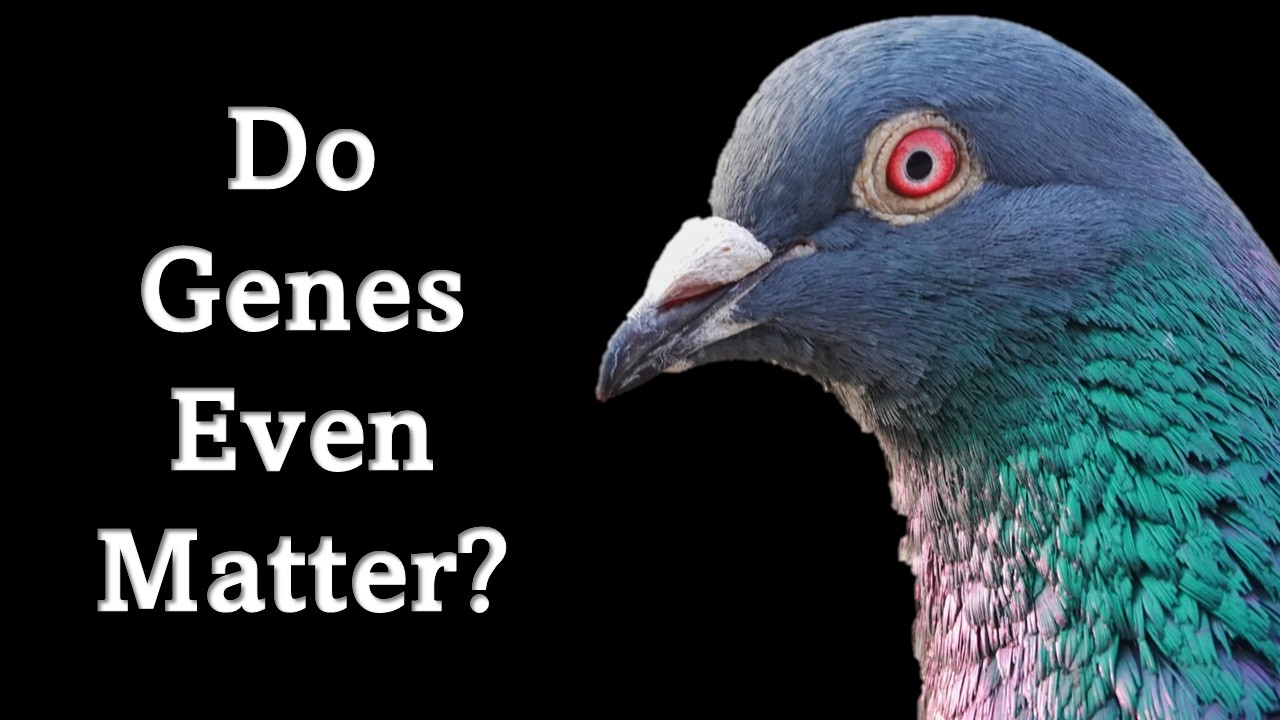 The Lost Evolutionary Synthesis