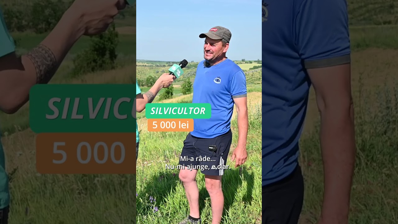 Cât câștigă un pădurar în Republica Moldova?