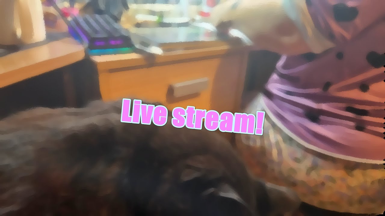 Live on the fly!
