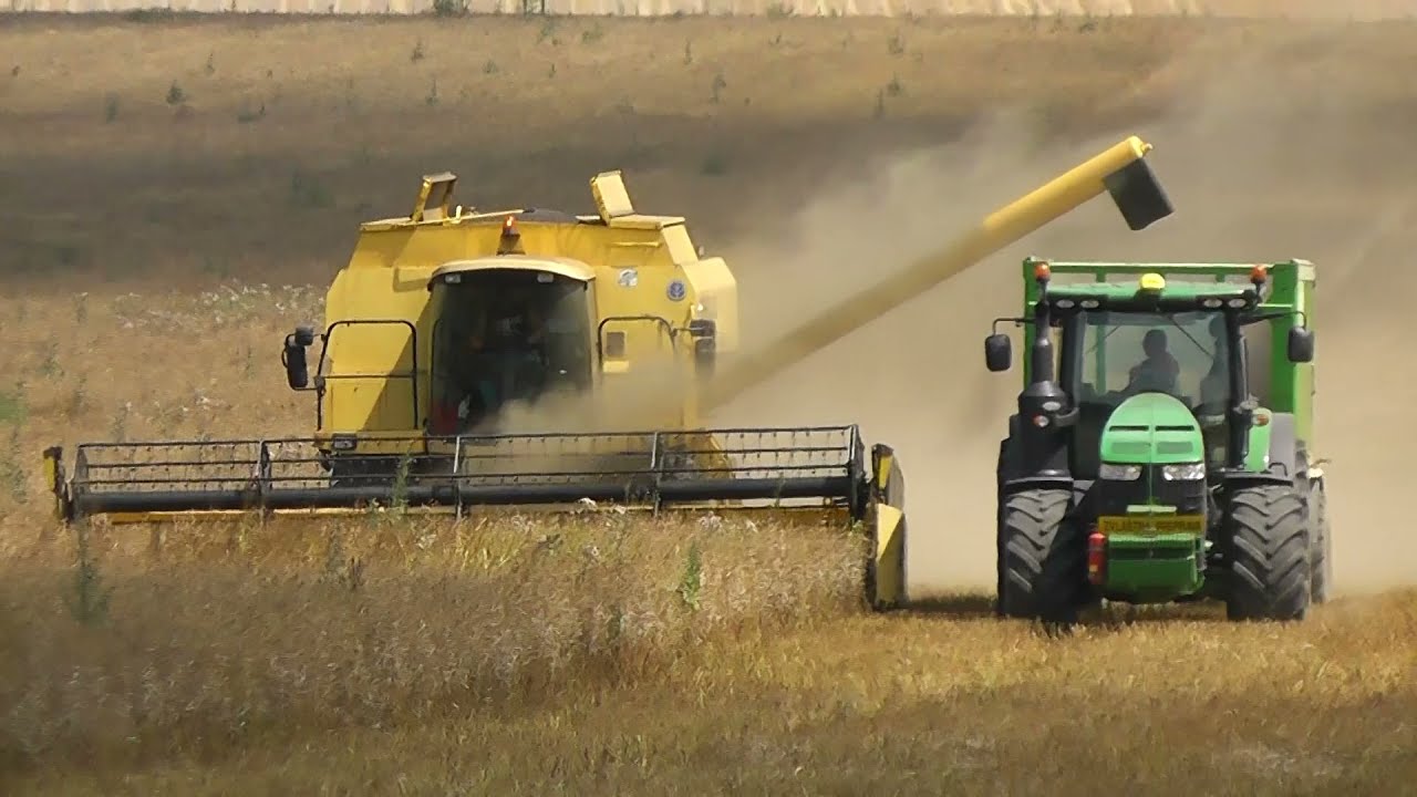 Žatva 2021 / Repka Olejná / New Holland CX 8080 , TX 68 PLUS / John Deere 8400R