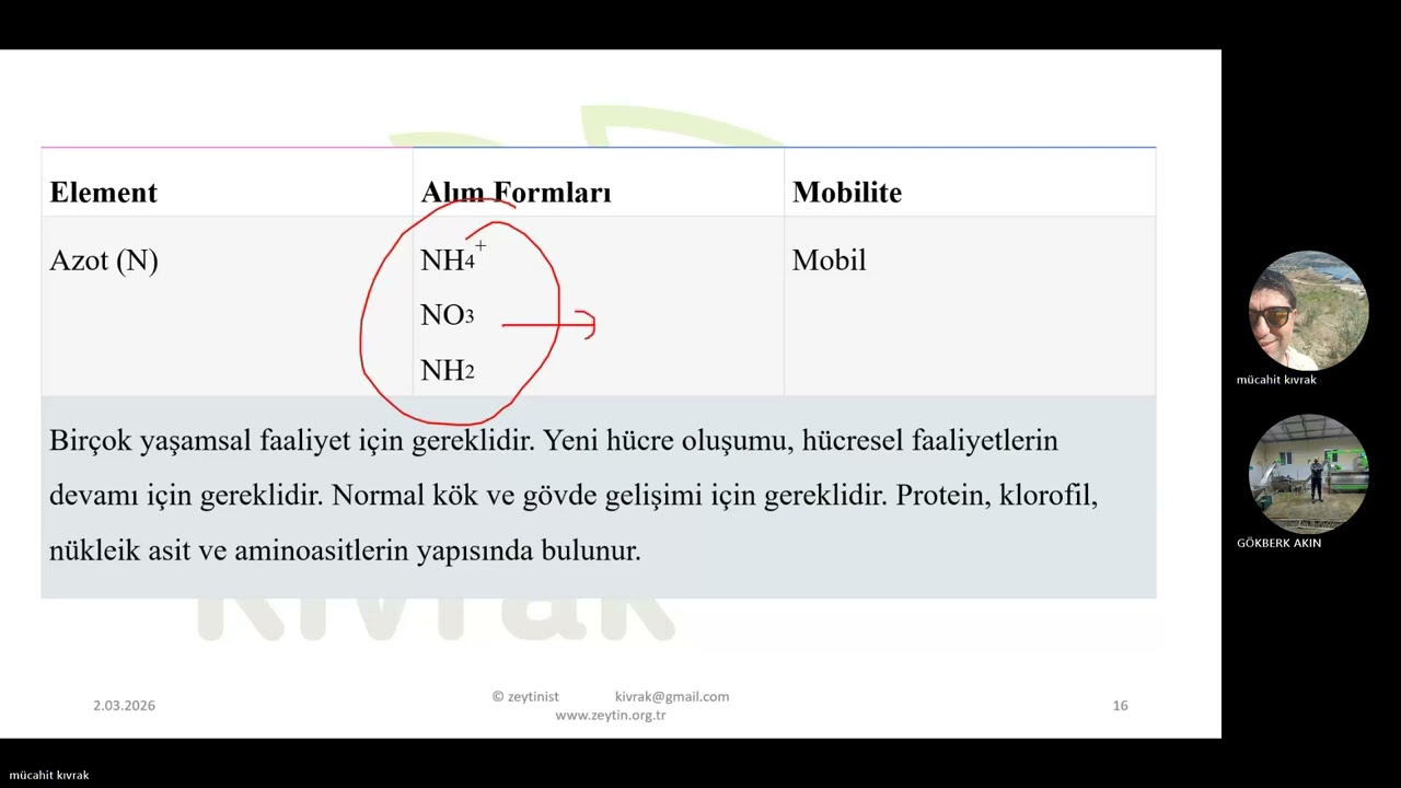 gübrelemede dikkat edilecek hususlar