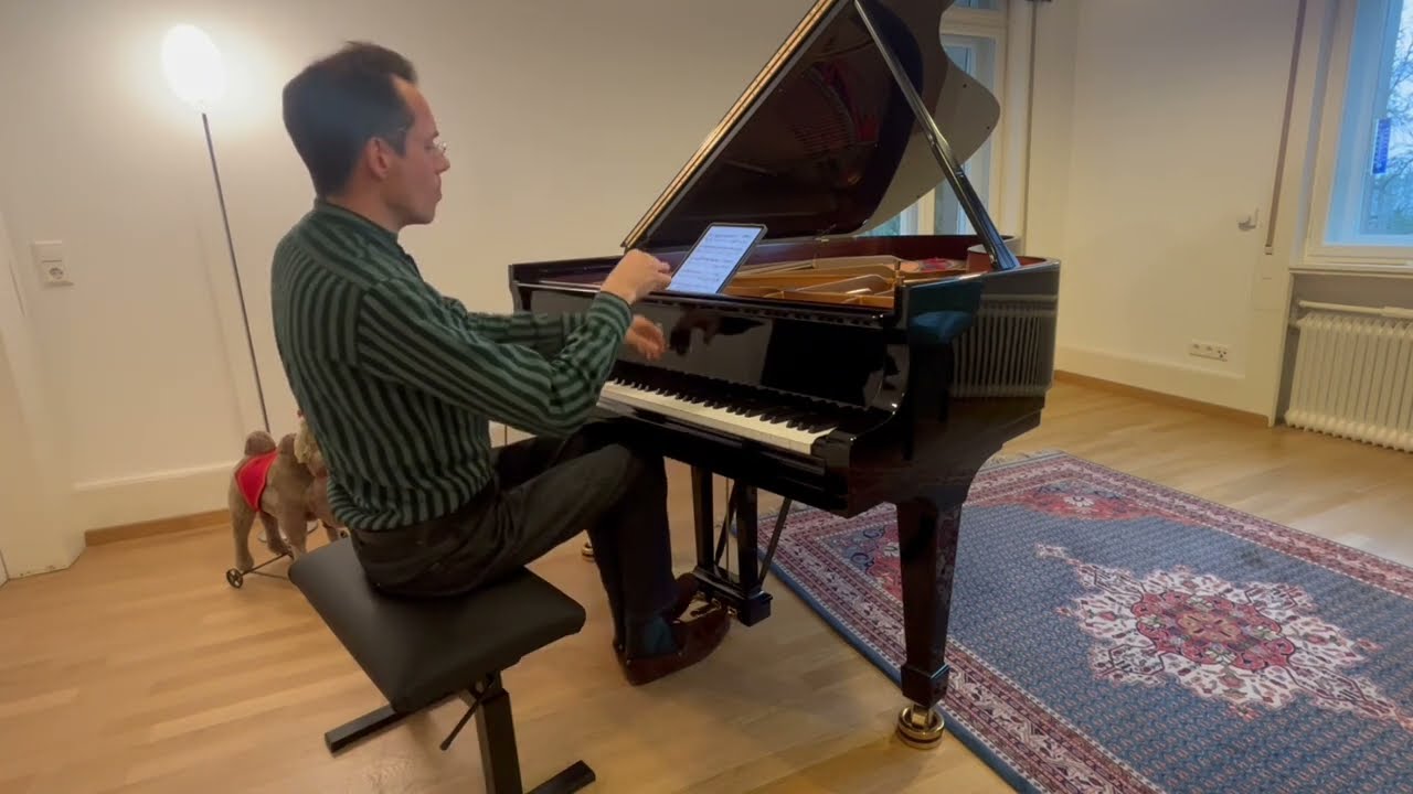 Ika Peyron: Nocturne, Moritz Ernst, piano