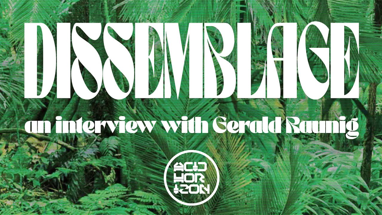 Dissemblage: an Interview with Gerald Raunig