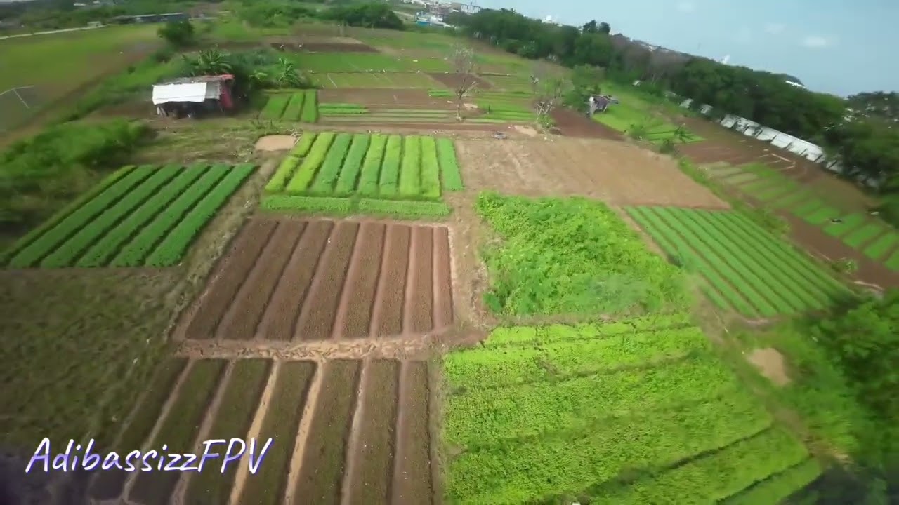 Today,... Nagabuburit sambil weng guys.. Gasss..!!!! #fpv #dronefpv  #dronefreestyle #djiaction2 