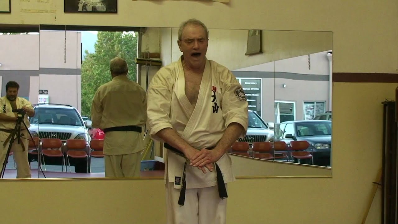 Tensho Kata Closeup