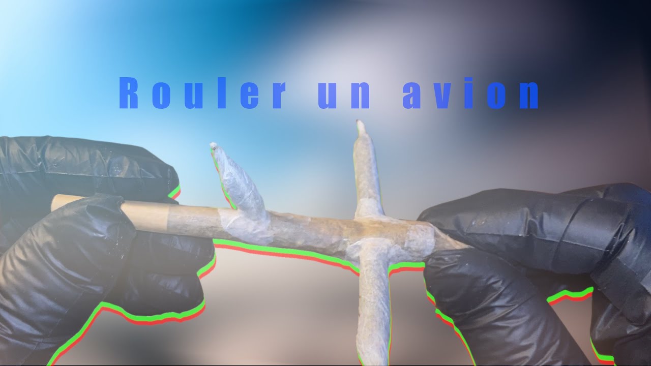 ROULER UN AVION - Elino