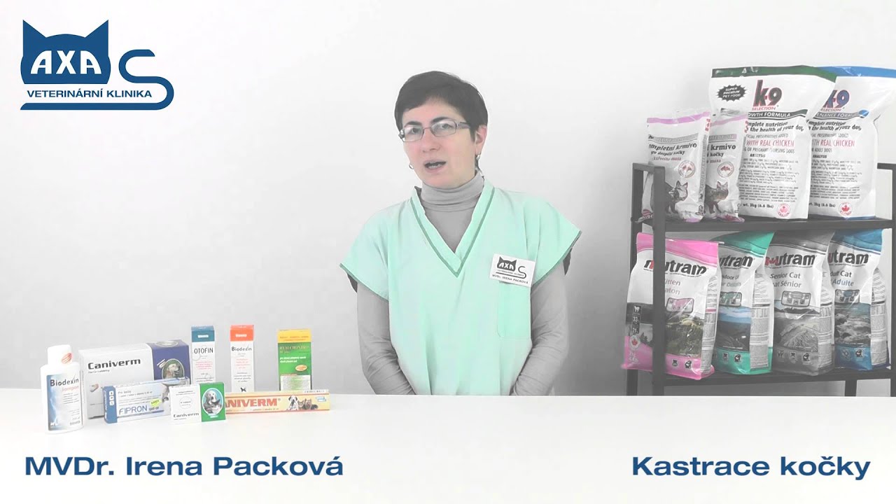 Péče o kočku - výhody a průběh kastrace