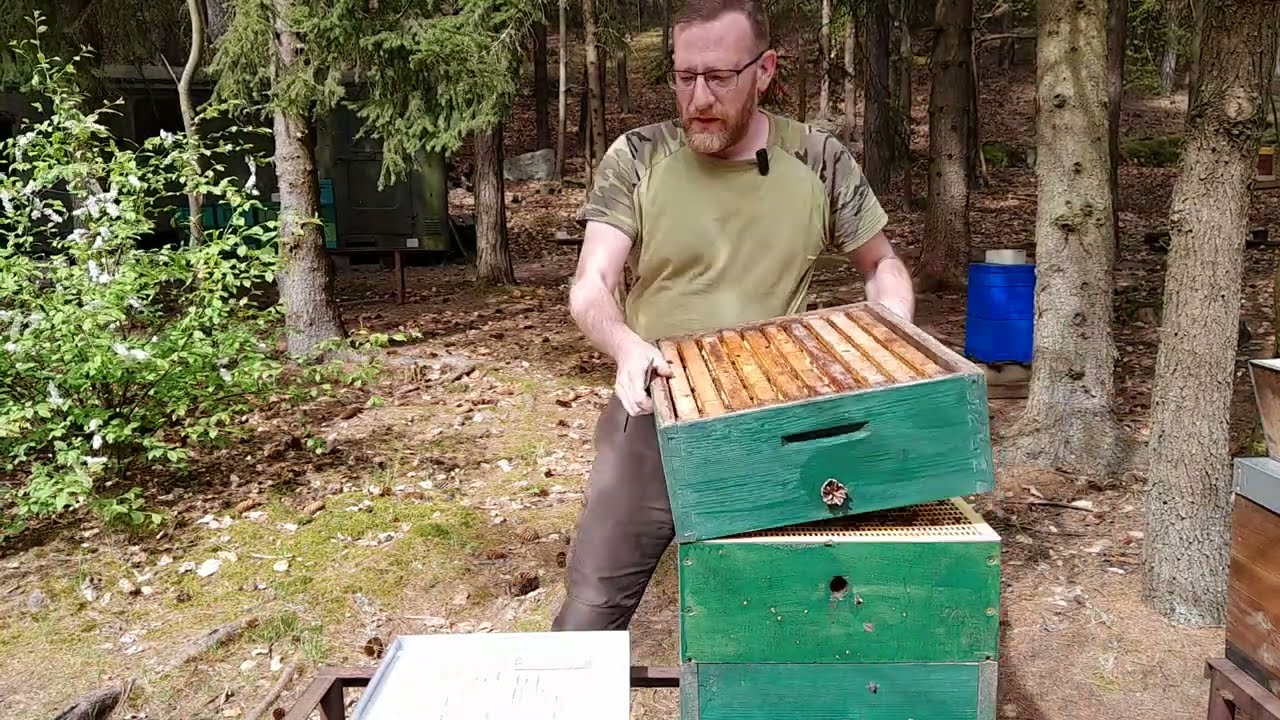 Včely -  parkování 2/3 langstroth, které se povedlo. Stav po třech týdnech..