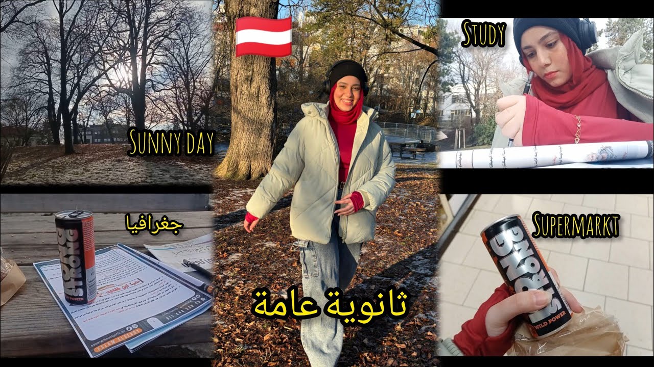 يوم جميل في ڤيينا ـ  قررت اذاكر في الجنينه 🌿🌞Spend a sunny day with me in Vienna🇦🇹