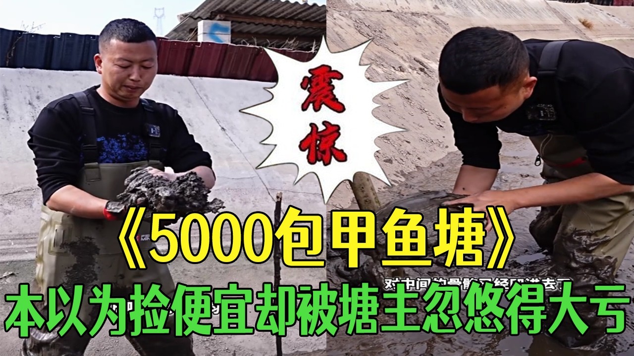 花5000元包甲魚塘，本以爲撿便宜結果被塘主忽悠得大虧！ #小飛哥#戶外  #三農  #鄉村守護人 #fishing #熱門