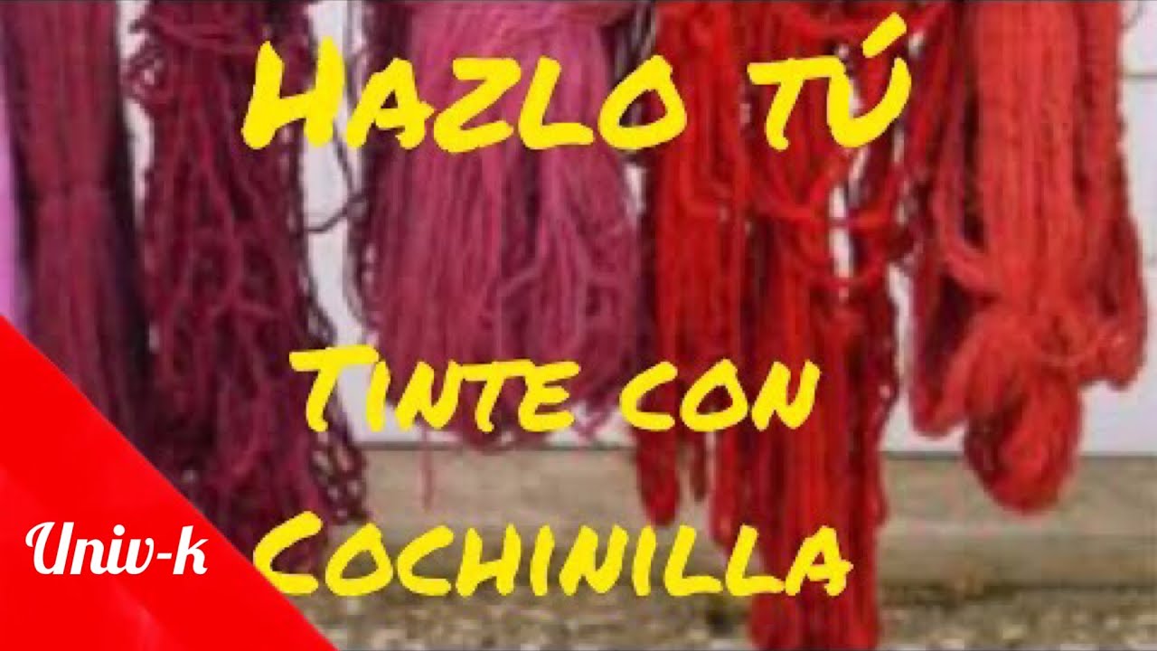 Cómo teñir lana. Tinte con cochinilla. Haz tú. Descripción paso a paso.Teñido de lana, fibras natur.