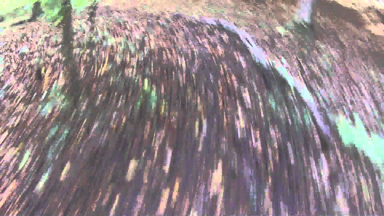 Toad Trail, DH Track, Stroud