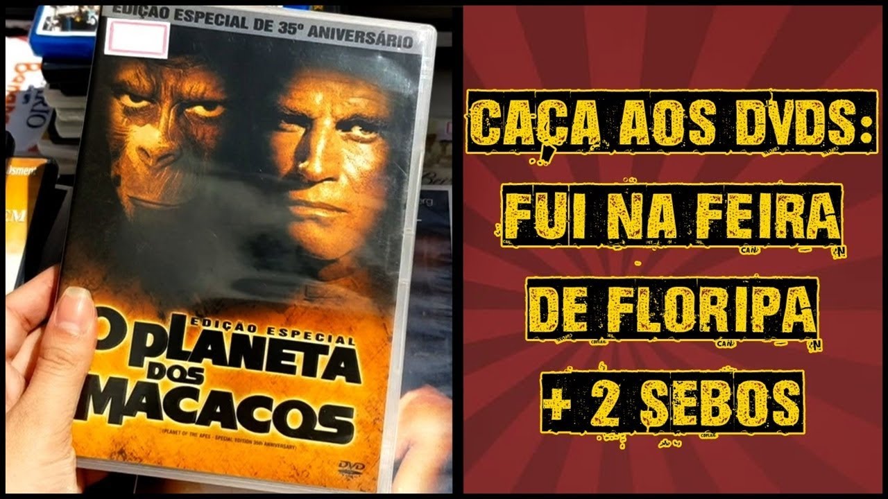 Caça aos DVDs #08 | Fui na FEIRA e SEBOS em FLORIPA