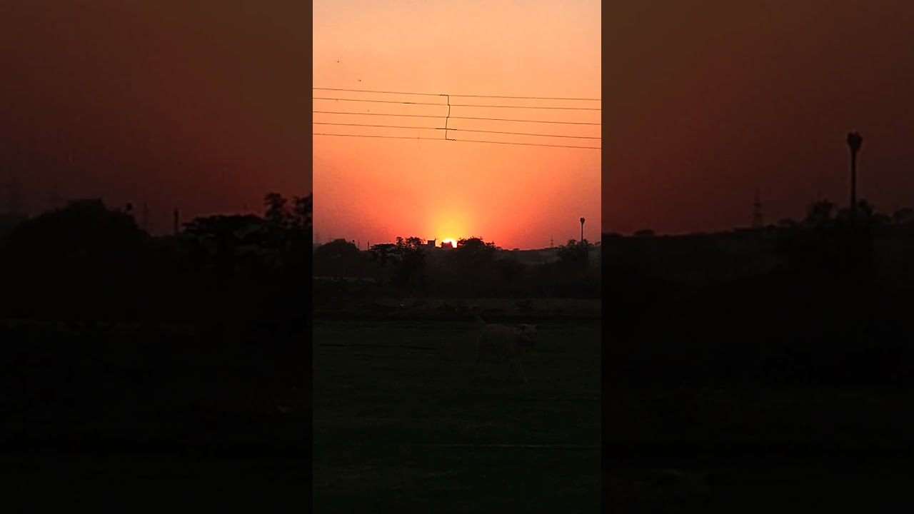#sunset