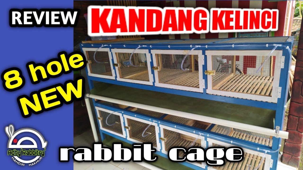 REVIEW Kandang Kelinci 8hole (NEW) / Rabbit Cage