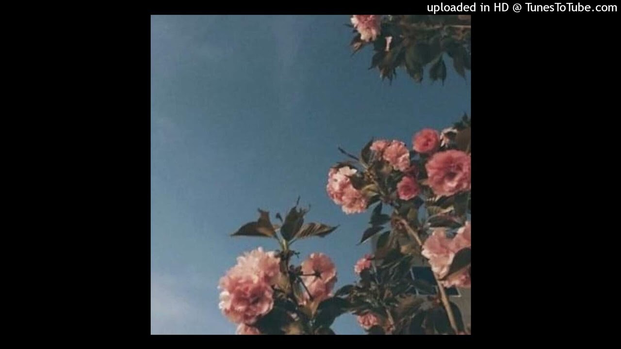 *FREE FOR PROFIT* LILBUBBLEGUM X 1NONLY X CISCAUX TYPE BEAT 