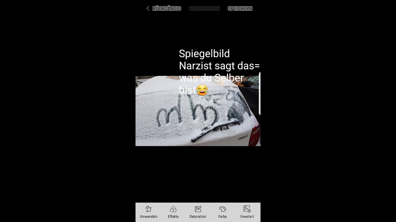 Narzisst- der Maligne. +Seine Sammlung an Wirthinen