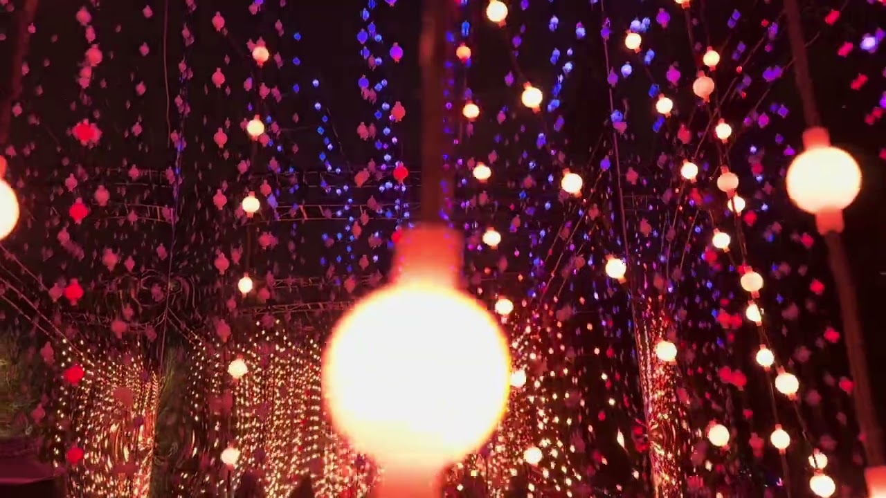 Hypnotic matrix #tree #illumination #kewgarden #christmas at #kewgardens #lights #botanicalgarden 