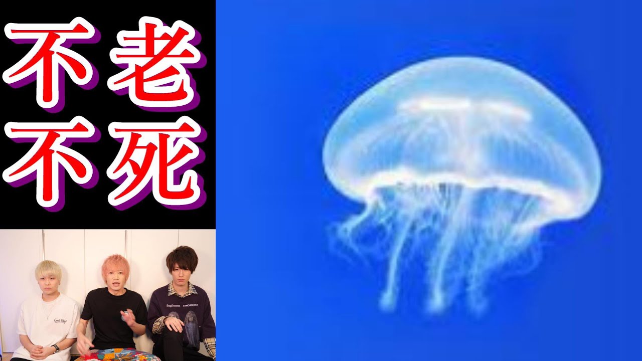 まだ知られていない寿命の長い動物達【都市伝説】