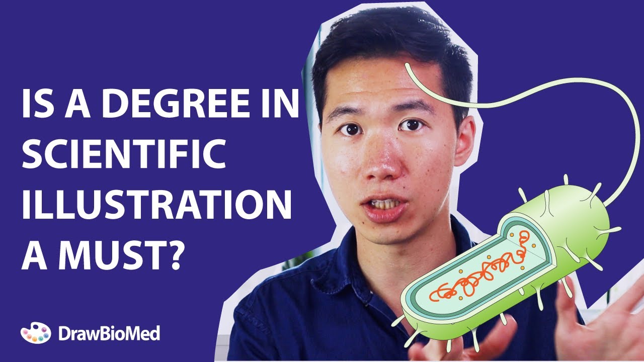 Can You Be a Scientific Illustrator without a Degree in Scientific/Medical Illustration?