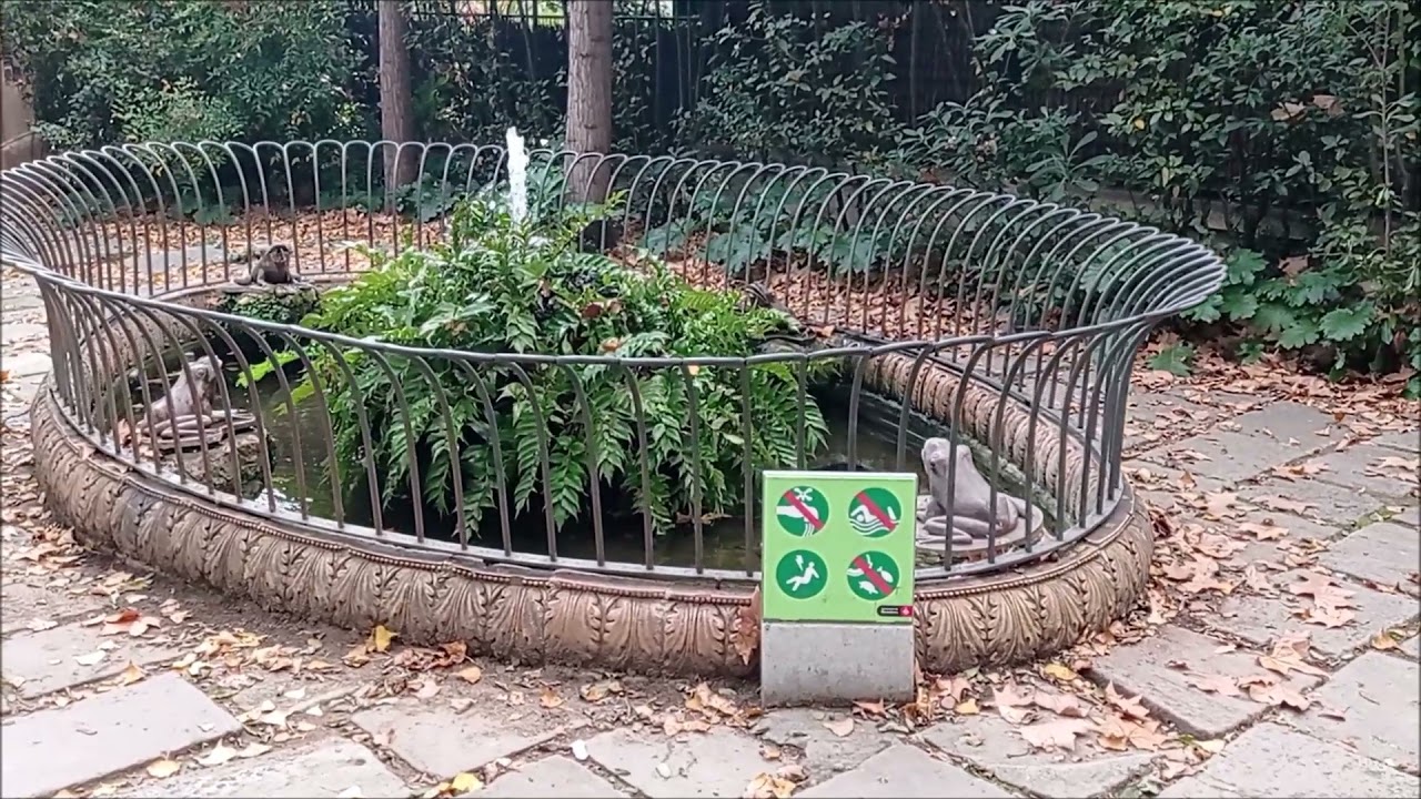 JARDINS DE LA TAMARITA 02