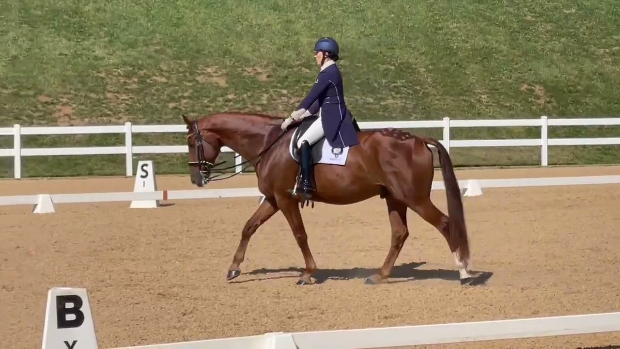 GAIGS Region 1 Championship | Lainey Ashker & Zeppelin Finals: PSG  Dressage Test