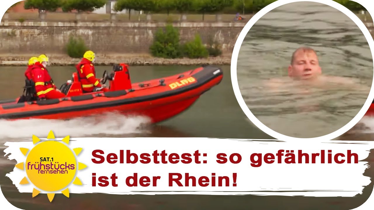 DLRG am Rhein: Ehrenamtlich im Dauereinsatz! | SAT.1 Frühstücksfernsehen