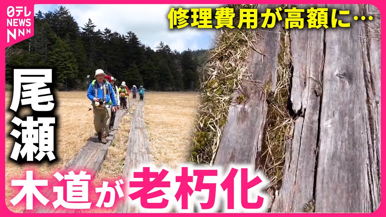 【尾瀬】