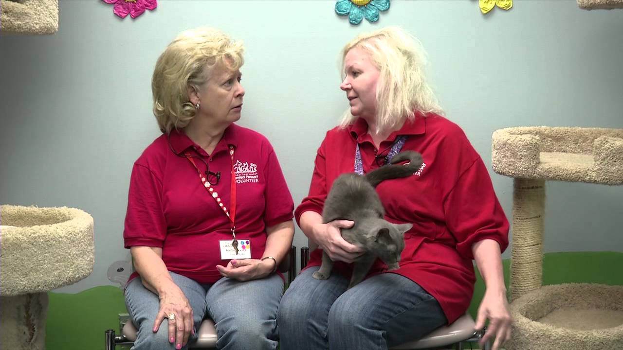 Irvine Pets & Co. #182