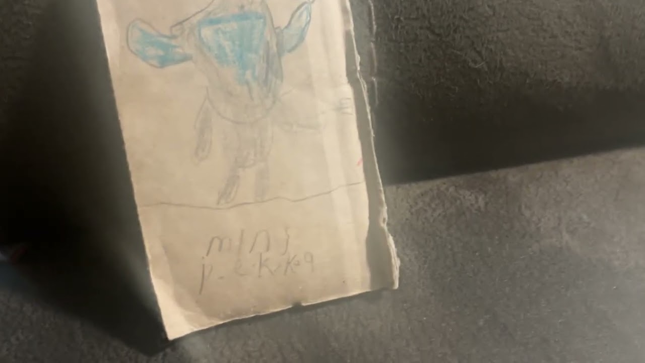 Mini p.e.k.k.a custom card what card next 