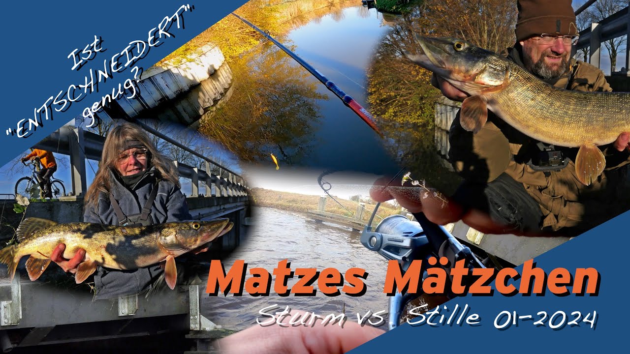 Matze Koch: Sturm vs. Stille - Matzes Mätzchen 01-2024