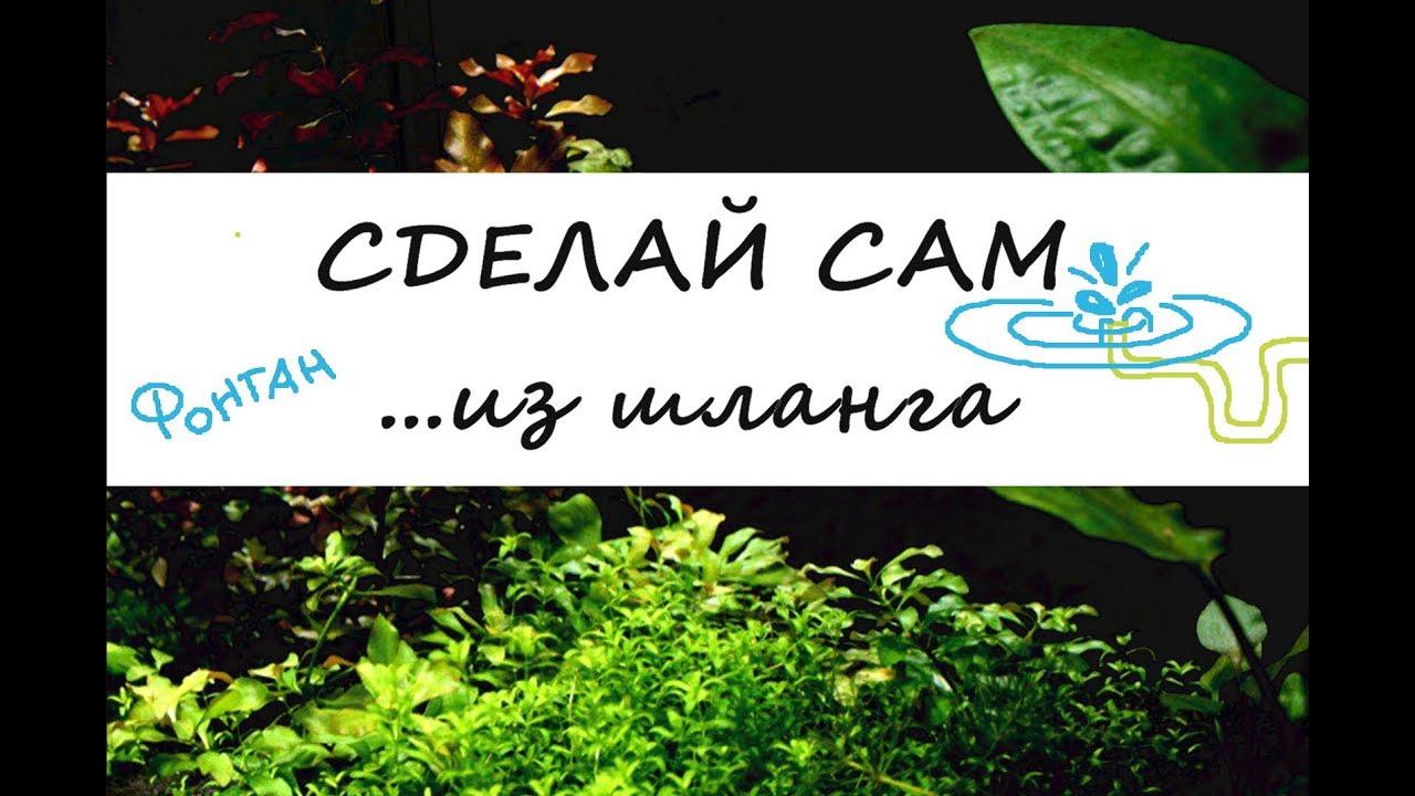 Фонтан из шланга. Аквариумные самоделки