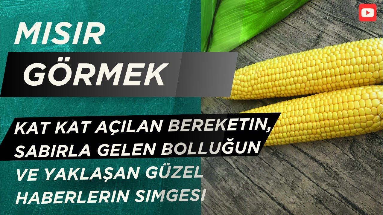 Rüyada Mısır Görmek Ne Anlama Gelir? | Bereket Mi, Bolluk Mu, Yoksa Gelecekten Güzel Haberler Mi?