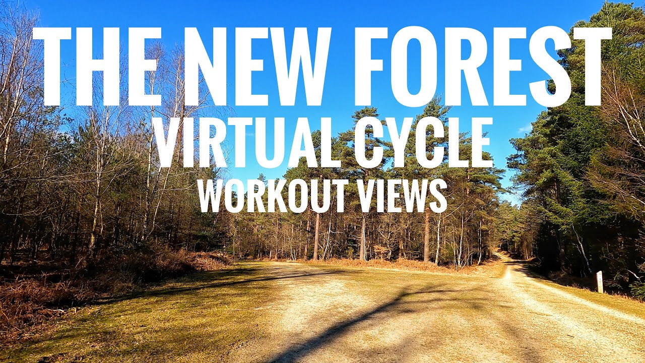 Indoor Cycling Video With Music | The New Forest England | 30 Minute Virtual Bike Ride