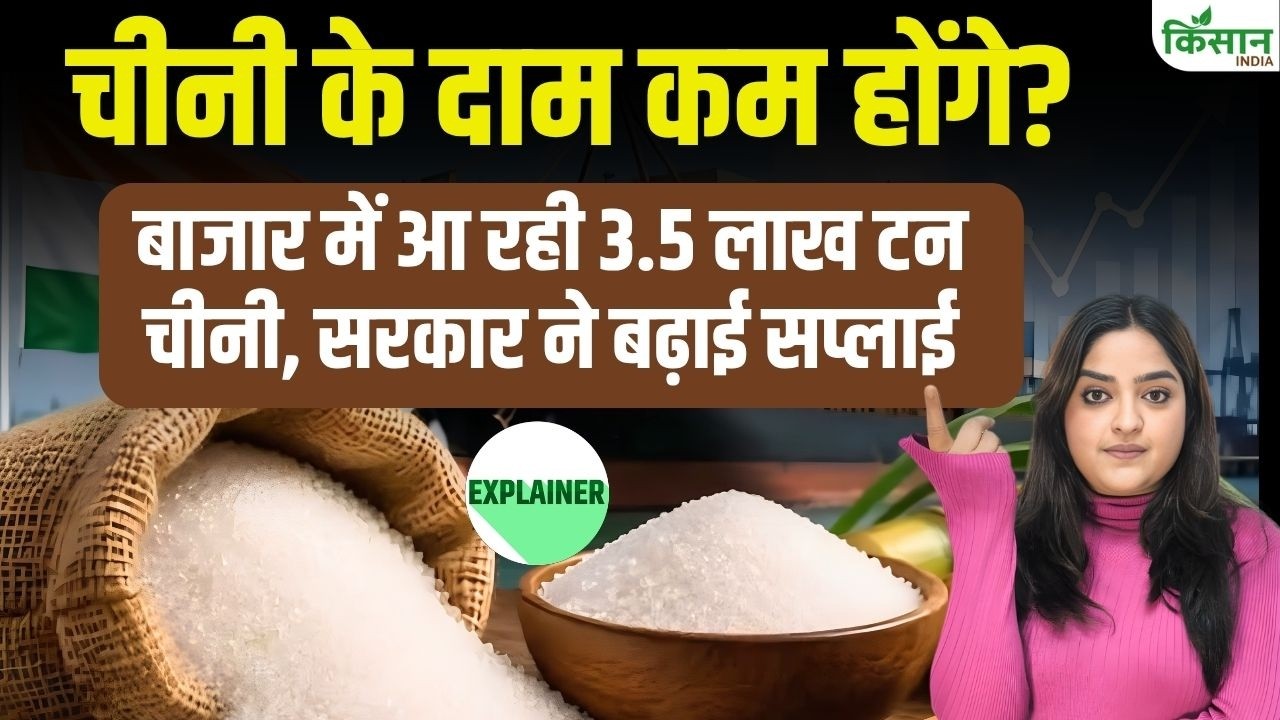 Sugar होगी सस्ती? बाजार में आएगी 3.5 लाख टन Sugar, 10 लाख टन Raw Sugar Import को मंजूरी | Explained