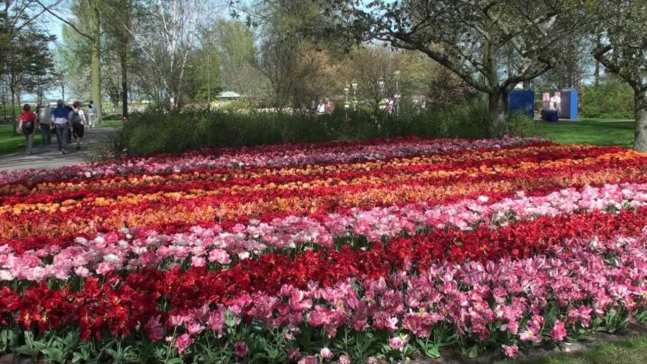 Keukenhof 2012, HD 1080p