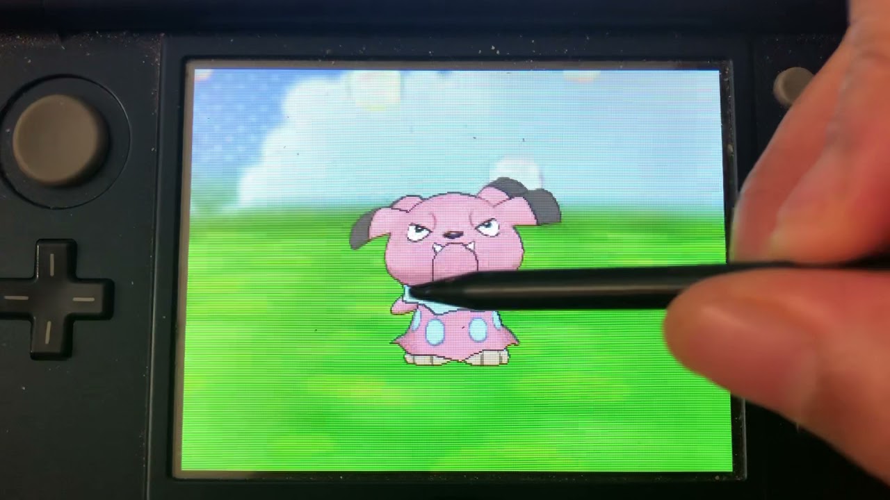Pokemon X: Pokémon Amie - Snubbull