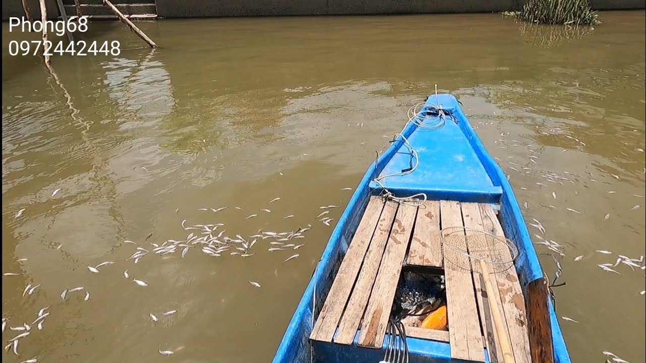 Đi thử điểm mới toàn cá ngon 32f một vợt thả cáp // Phong68
