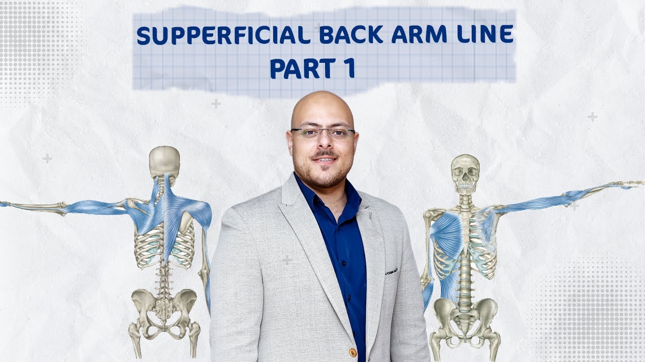 Unlocking the Secrets of the Body's Anatomy Train: Superficial Back Arm Line | د/ أحمد مبروك