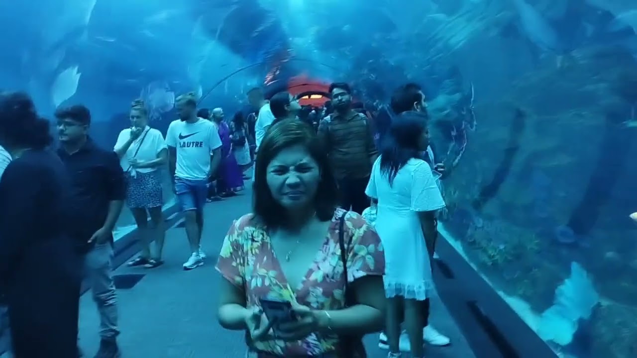 Dubai Aquarium part 3